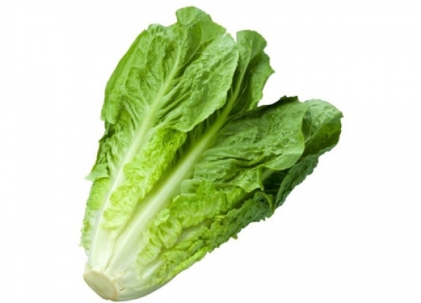 Römersalat